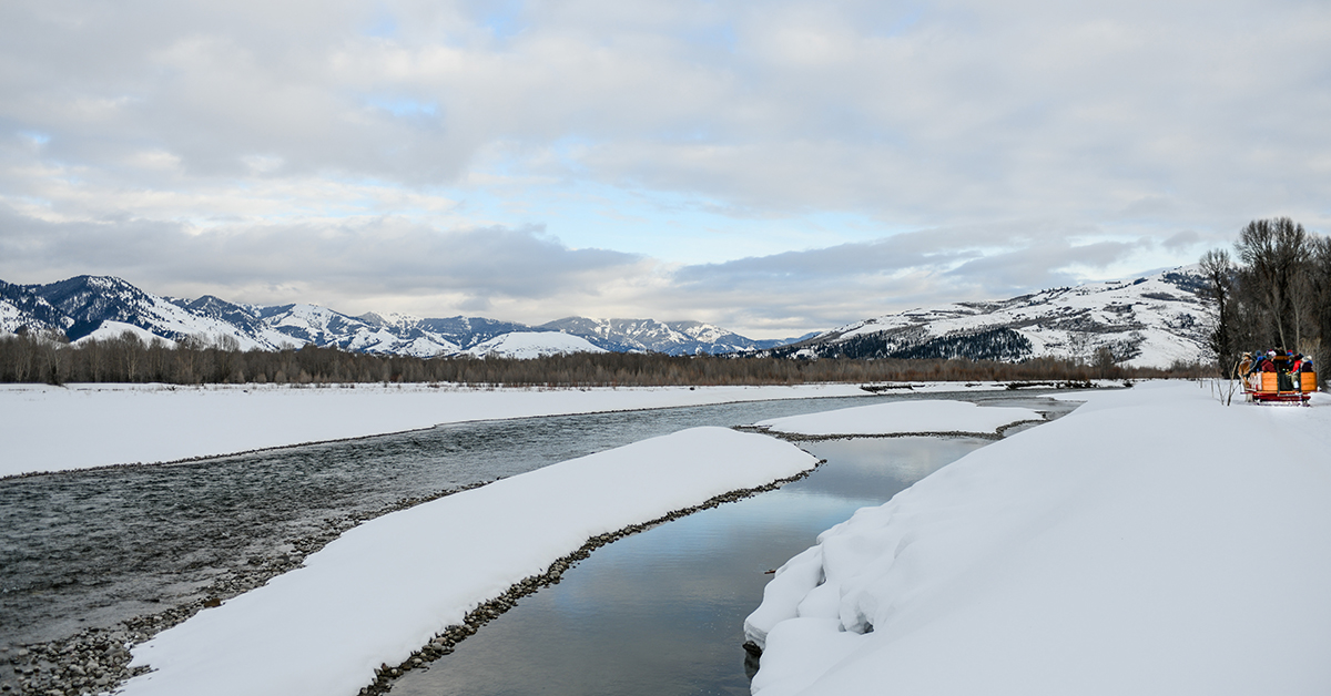 A Vintage Horse Drawn Sleigh Glides Along the Snake River in Jackson Hole