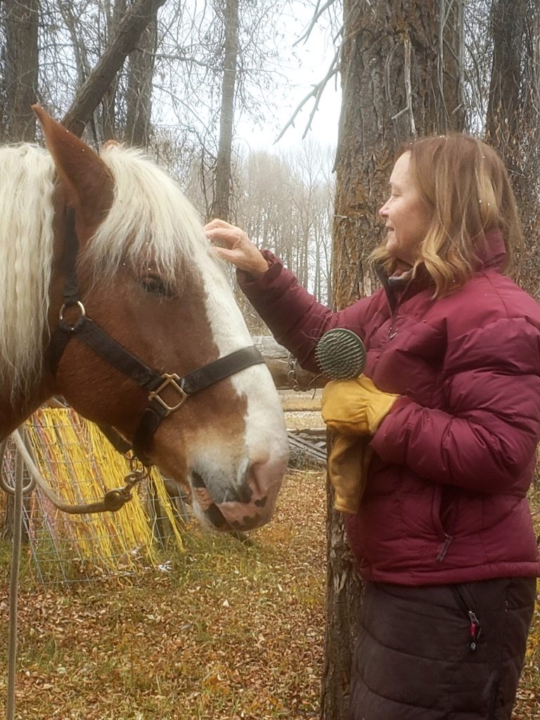 Jackson Hole Sleigh Rides