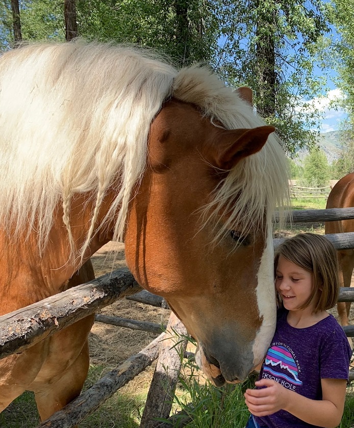 Jackson Hole Sleigh Rides