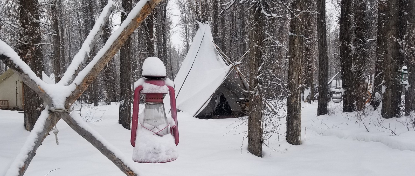 A Red Lantern Hangs From A Tree In Front Of A Tipi Covered In Snow At Vintage Adventures Tipi Camp In Jackson Hole Wyoming