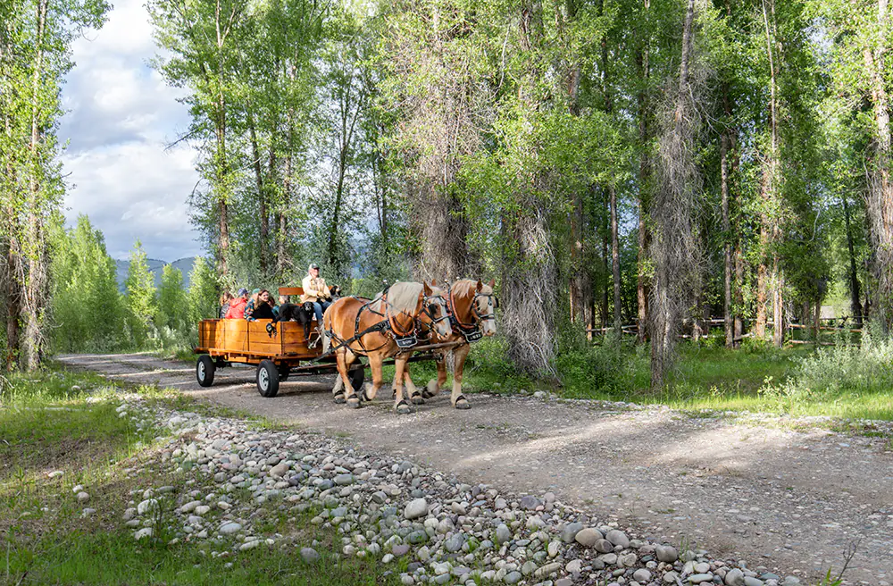 Summer Things to do in Jackson Hole